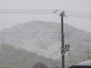 自宅から見た雪景色