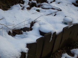 雪に埋もれた鉢植え達
