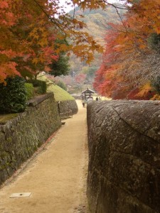 石塀と紅葉