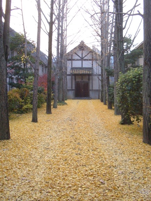アイビースクエア内の”銀杏の葉の絨毯”