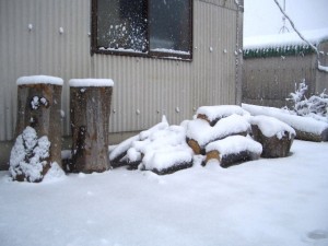 丸太の上に積もった雪（朝）