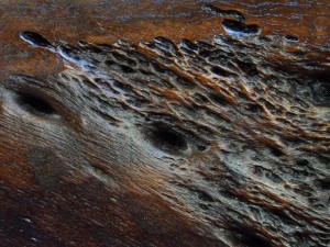 欅のローテーブルの複雑な木肌